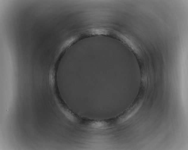 X0000111580402200907161429
