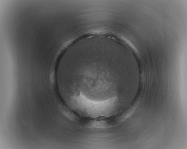 X0000111580403200907161429