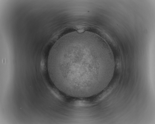 X0000111580408200907161429
