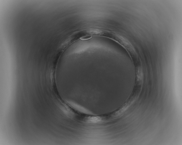 X0000111580409200907161429