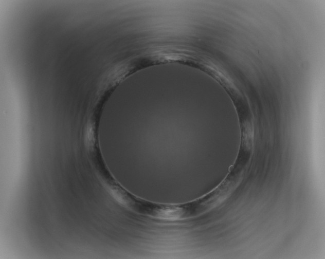 X0000111580410200907161429