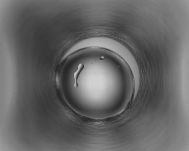 X0000111580411200907161429