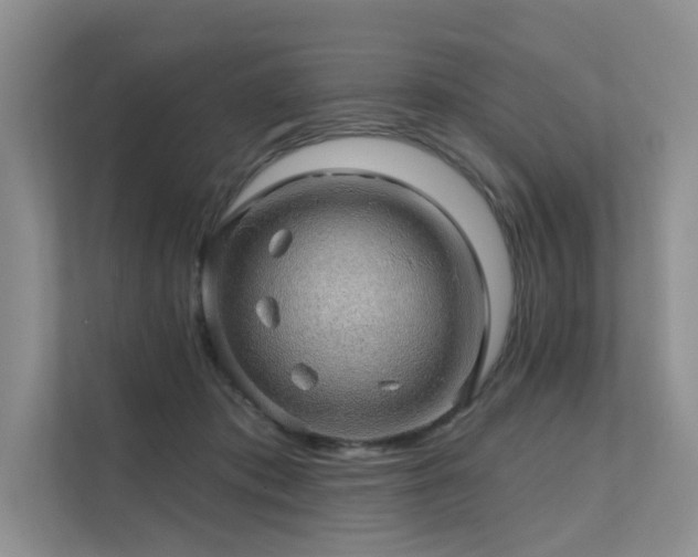 X0000111580413200907161429