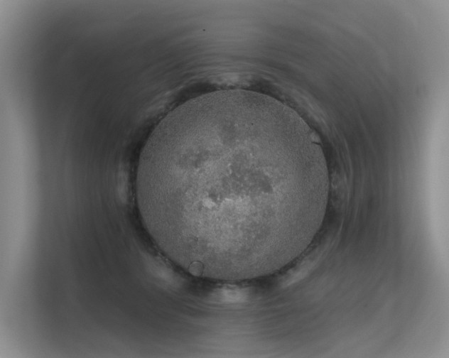 X0000111580416200907161429