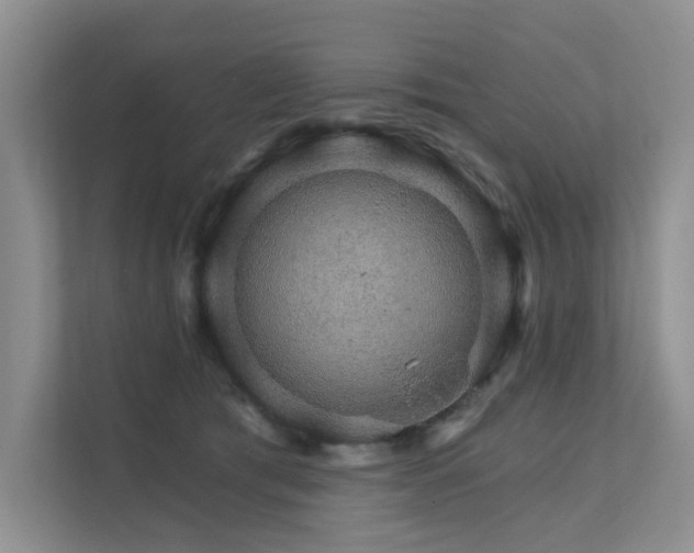 X0000111580417200907161429