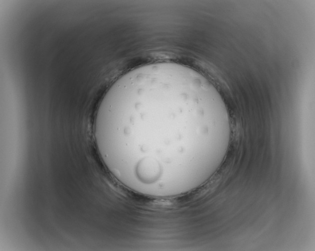 X0000111580418200907161429