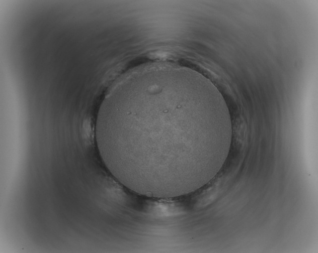 X0000111580420200907161429