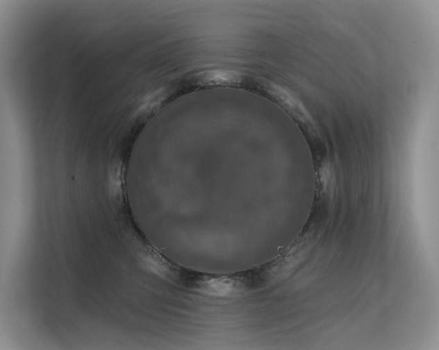 X0000111580423200907161429