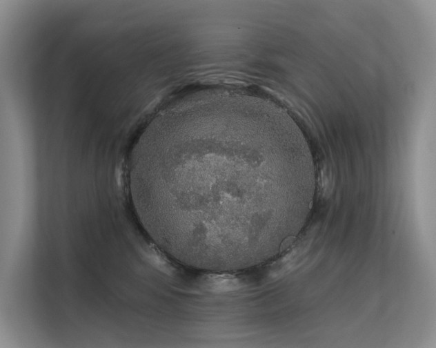 X0000111580424200907161429