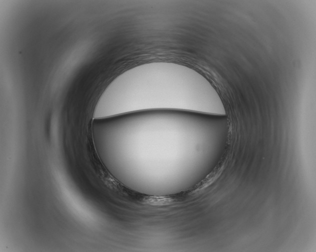 X0000111580429200907161429