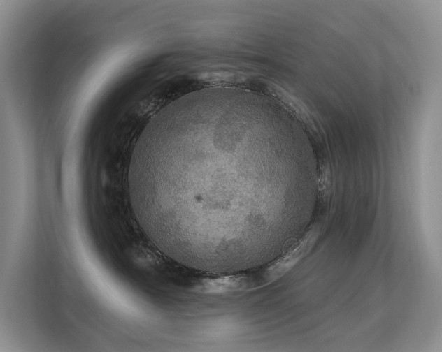 X0000111580430200907161429