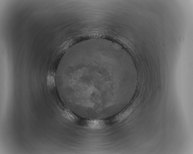 X0000111580432200907161429