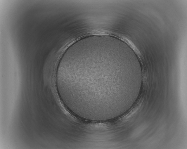 X0000111580433200907161428