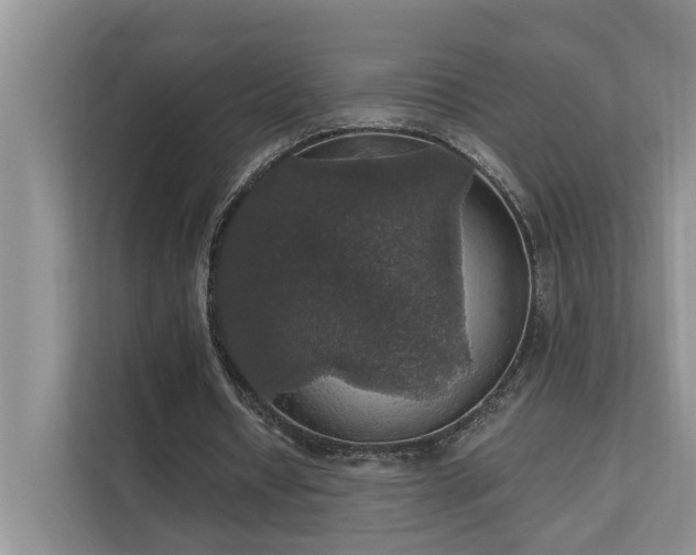X0000111580434200907161428