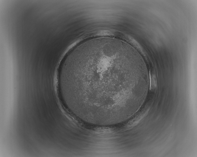 X0000111580435200907161428