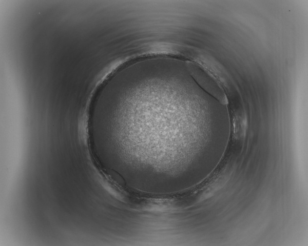 X0000111580436200907161428