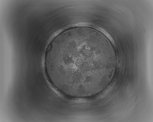 X0000111580437200907161428