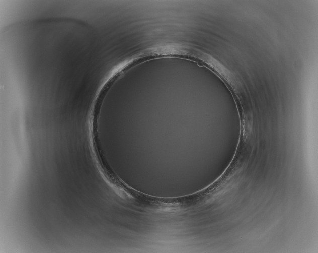 X0000111580438200907161428