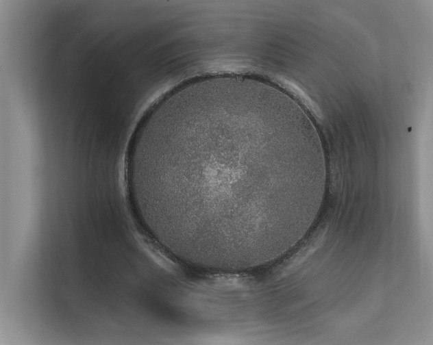 X0000111580439200907161428