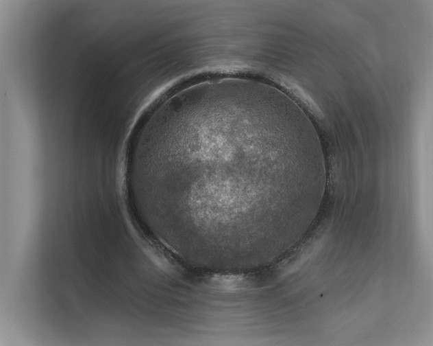 X0000111580440200907161428