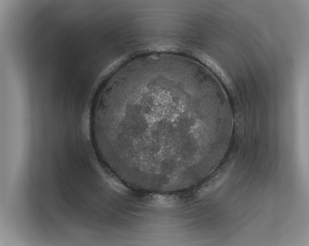 X0000111580442200907161428