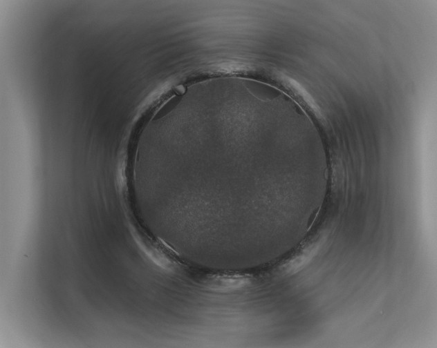 X0000111580443200907161428