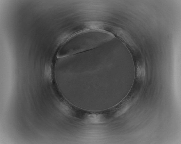 X0000111580444200907161428
