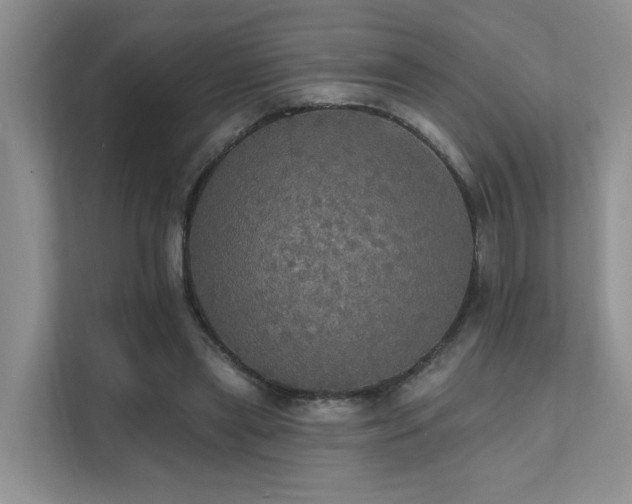 X0000111580445200907161428