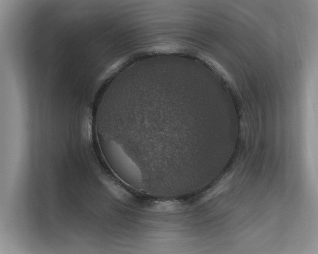X0000111580446200907161428