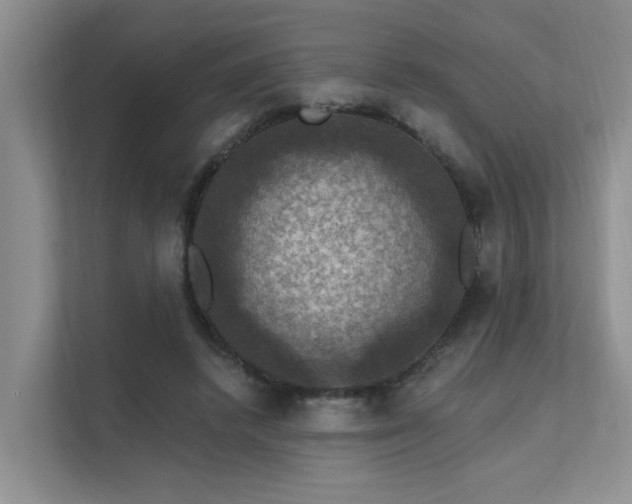 X0000111580448200907161428