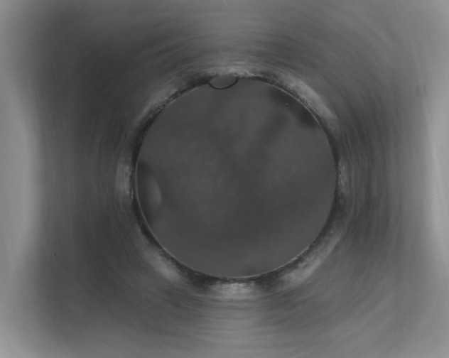 X0000111580449200907161428
