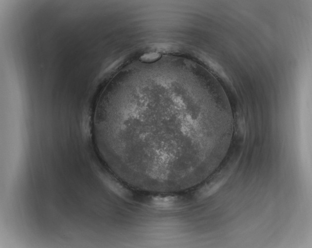 X0000111580450200907161428
