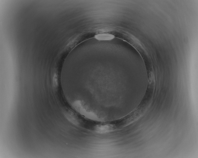 X0000111580452200907161428