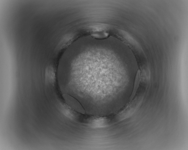 X0000111580456200907161428