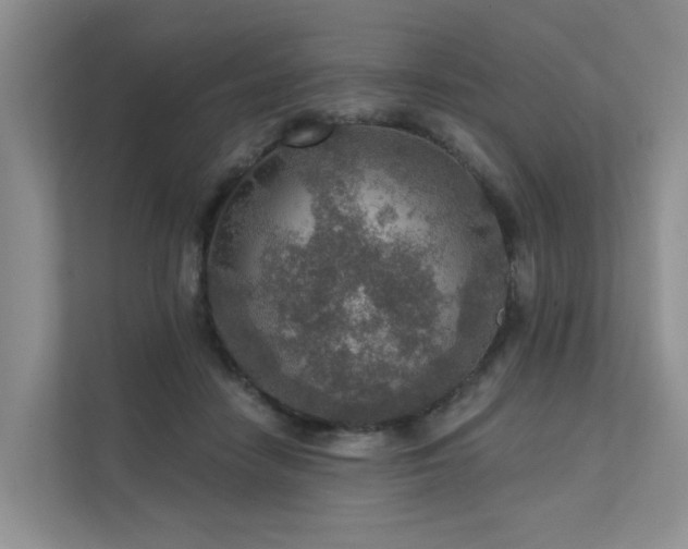 X0000111580458200907161428