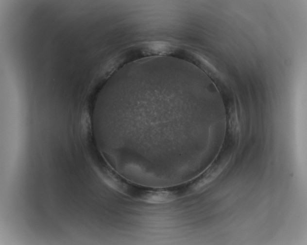 X0000111580459200907161428