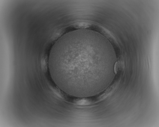 X0000111580460200907161428
