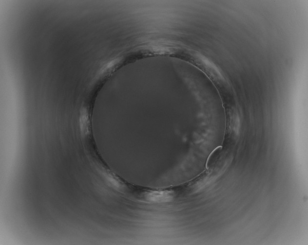 X0000111580465200907161428