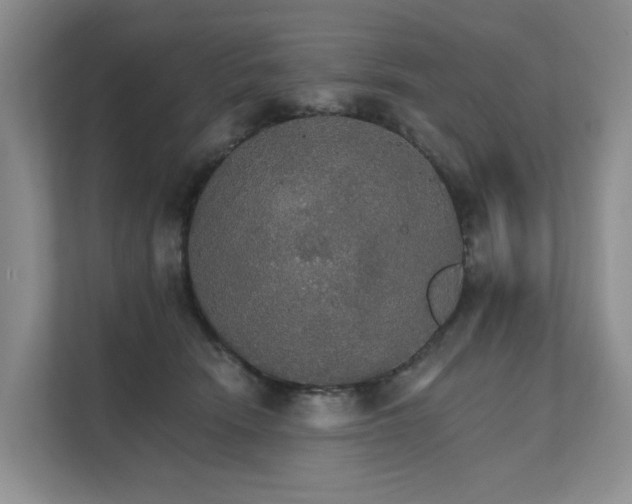 X0000111580466200907161428
