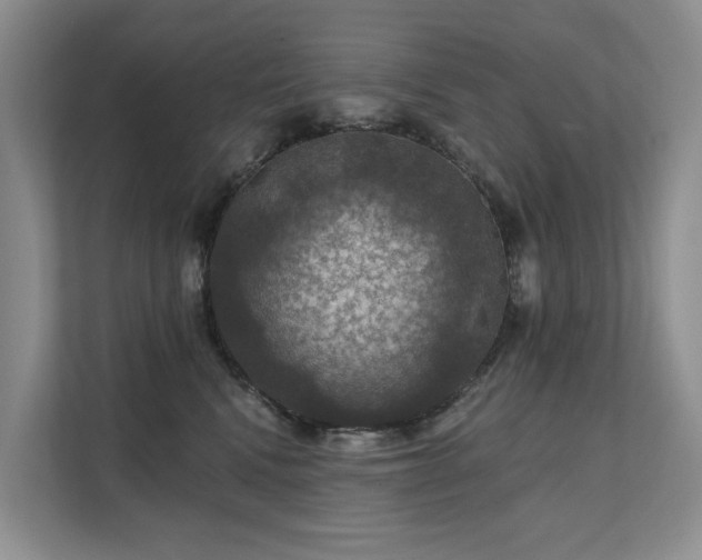 X0000111580472200907161428