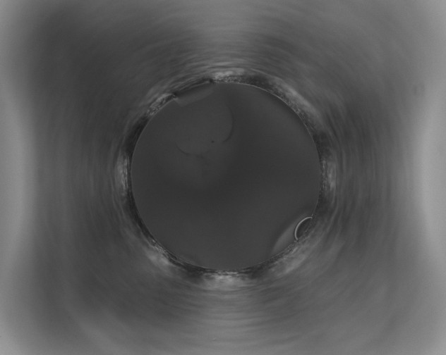 X0000111580475200907161428