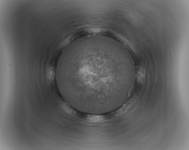 X0000111580476200907161428