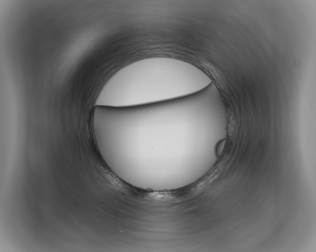 X0000111580477200907161428