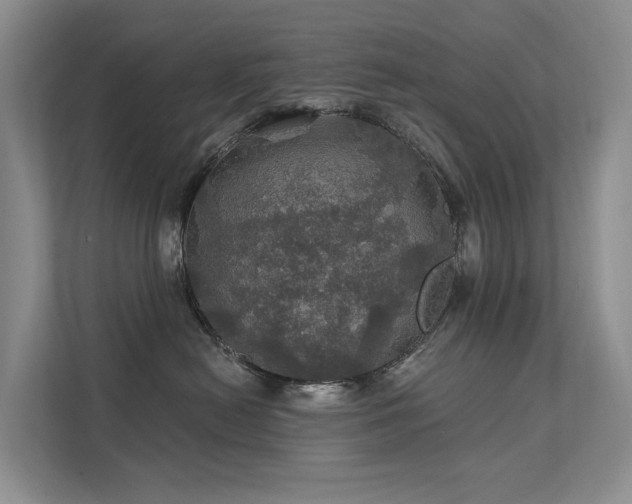 X0000111580478200907161428