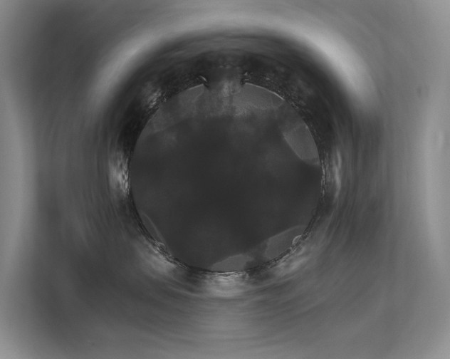 X0000111580479200907161429