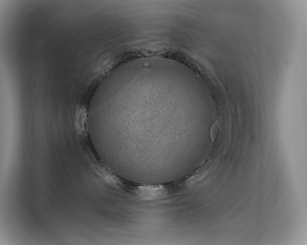 X0000111580480200907161429