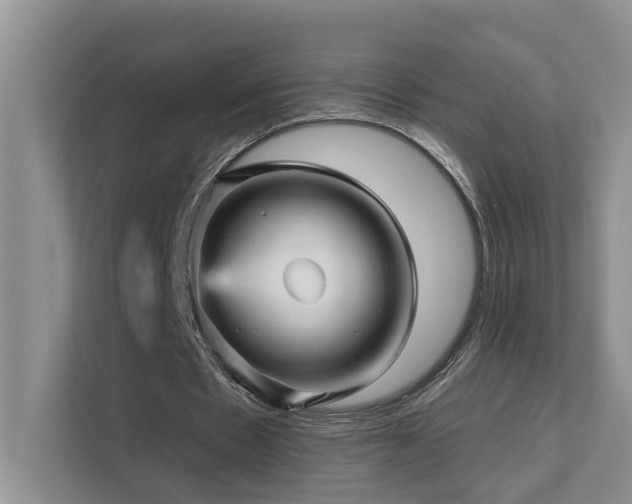 X0000111580481200907161428