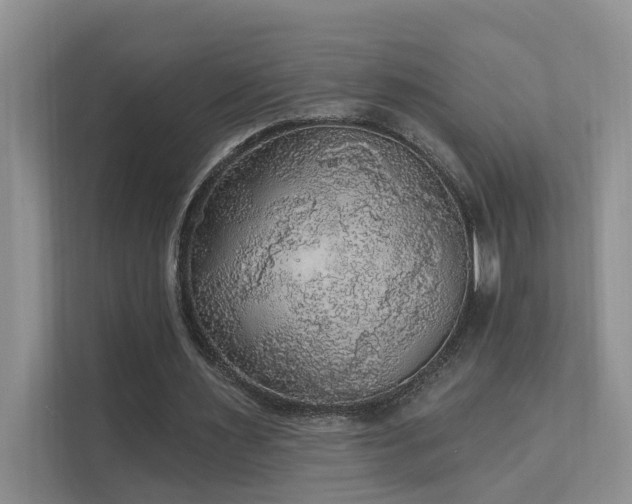 X0000111580483200907161428