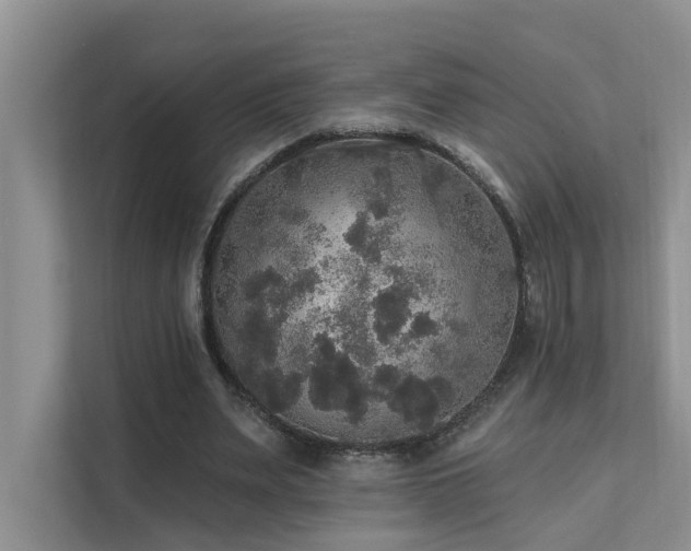 X0000111580487200907161428