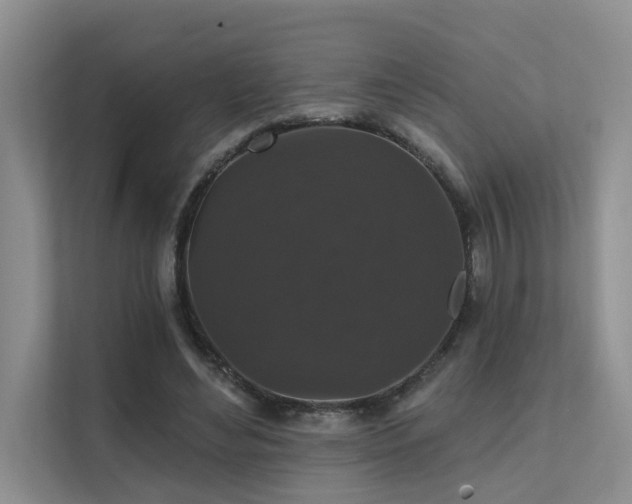 X0000111580492200907161428